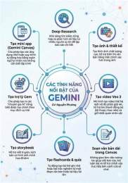 tính năng nổi bật dây gắm khô