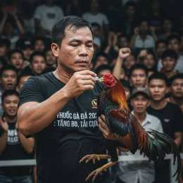 tính năng nổi bật doping cho gà đá