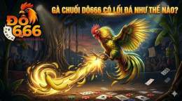 tính năng nổi bật gà chuối đá ngày nào