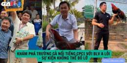 tính năng nổi bật gà đá cpc1