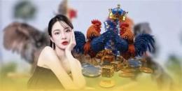 tính năng nổi bật ga da cua dao dut dau