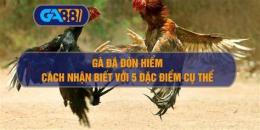 tính năng nổi bật gà đá đòn hiểm