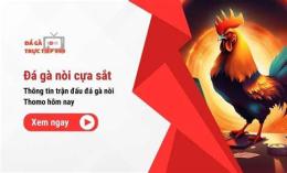 tính năng nổi bật gà đá giải c3 hôm nay