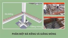 tính năng nổi bật gà đá kiềng là như thế nào