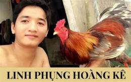 tính năng nổi bật ga da phung hoang ke