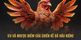 tính năng nổi bật gà đá vai kiềng