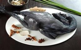 tính năng nổi bật gà đen tây bắc đá