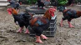 tính năng nổi bật ga dong tao o da nang