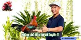 tính năng nổi bật gà duyên ti đã