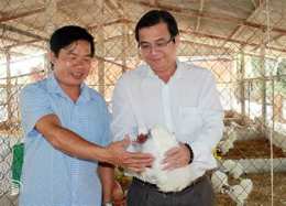 tính năng nổi bật gà mã đà mua giống ở đâu