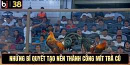 tính năng nổi bật gà mít trà cú đá giải