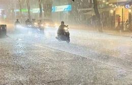 tính năng nổi bật gà mưa hồng đà nẵng