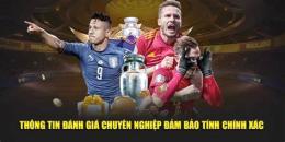 tính năng nổi bật gà phệ bóng đá