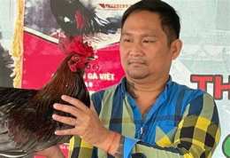 tính năng nổi bật gà phúc bình dương đá với mít trà cú