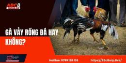 tính năng nổi bật ga vay rong da co hay khong