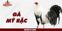tính năng nổi bật gà việt rặc đá