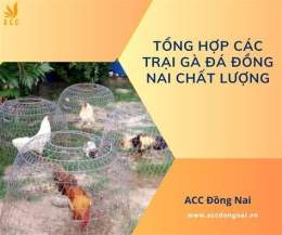 tính năng nổi bật gia ga da dong nai