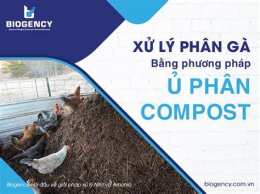 tính năng nổi bật giá phân gà đã qua xử lý