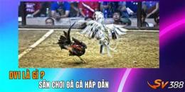 tính năng nổi bật ké gà đá là gì