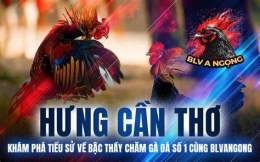 tính năng nổi bật kê gà đà nẵng