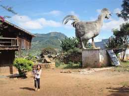 tính năng nổi bật làng con gà đà lạt