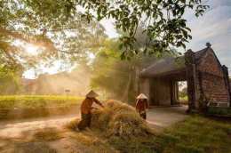 tính năng nổi bật làng gà đà lạt