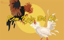 tính năng nổi bật lich da ga theo ngay