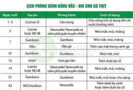 tính năng nổi bật lịch vacxin cho gà đá
