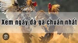 tính năng nổi bật lịch xem ngày đá gà
