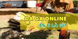 tính năng nổi bật link đại lý đá gà