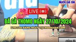 tính năng nổi bật live đá gà trực tuyến