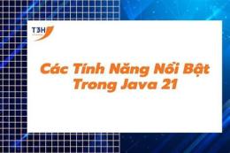 tính năng nổi bật lòng đỏ trứng gà ta đậm màu