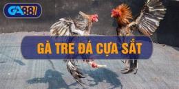 tính năng nổi bật mang ga da cua sat