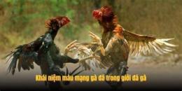 tính năng nổi bật mao mang ga da