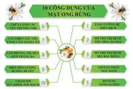 tính năng nổi bật mat ong voi trung ga lam dep da