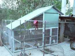 tính năng nổi bật metruyen đá em trai ra chuồng gà