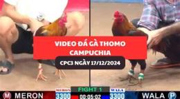 tính năng nổi bật mít trà cú đá gà thomo