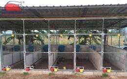 tính năng nổi bật mô hình chuồng trại nuôi gà đá