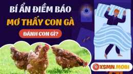 tính năng nổi bật mơ thấy đá gà đánh số may