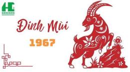 tính năng nổi bật ngay đinh mùi đá gà gì