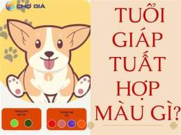 tính năng nổi bật ngay giap tuat da ga mau gi