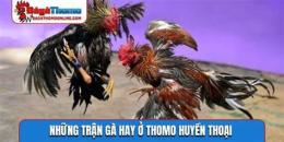 tính năng nổi bật những trận gà đá tiền lớn thomo