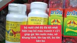 tính năng nổi bật nuôi gà đá bằng thuốc tây