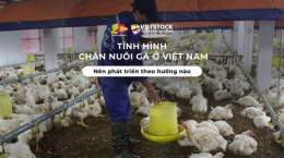 tính năng nổi bật nuoi ga da co luc