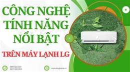 tính năng nổi bật ớn lạnh nội đã gà khi mang thai