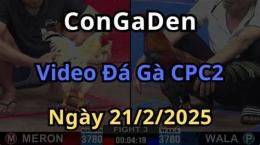 tính năng nổi bật phat lai da ga hom nay cpc2