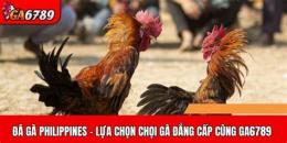 tính năng nổi bật philippines đá gà