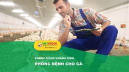 tính năng nổi bật phong benh cho ga da