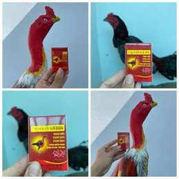 tính năng nổi bật phục hồi sau đá cho gà chọi