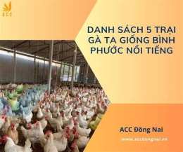tính năng nổi bật sach da ga